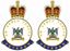 Picture of HM Royal Scots Dragoon Guards Veteran Stickers