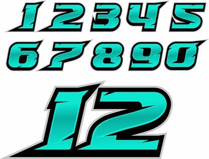 Picture of Track Day Door Number Decals  / Stickers