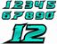 Picture of Track Day Door Number Decals  / Stickers