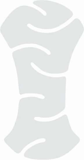 Picture of Motorcycle Tank Clear PPF Sticker