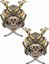 Picture of Samurai Skull Decals / Stickers