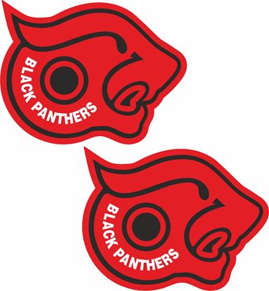 Picture of Black Panthers general panel  Decals / Stickers