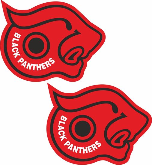 Picture of Black Panthers general panel  Decals / Stickers