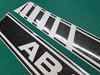 Picture of Fiat  500 / 595 Abarth OEM style Side Stripes / Stickers GLITTER