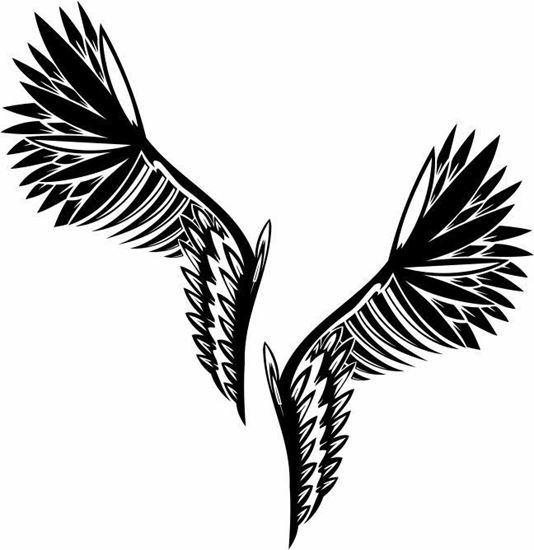 Picture of Handed Wing panel Stickers / Decals