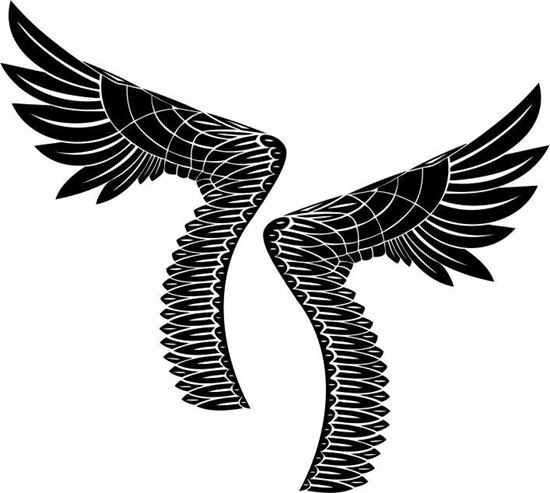 Picture of Handed Wing panel Stickers / Decals