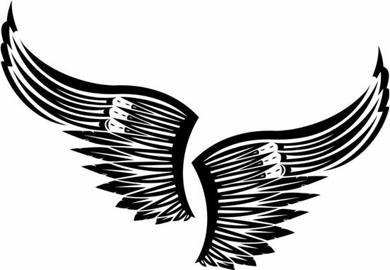 Picture of Handed Wing panel Stickers / Decals