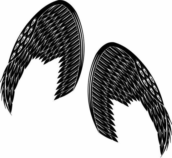 Picture of Handed Wing panel Stickers / Decals