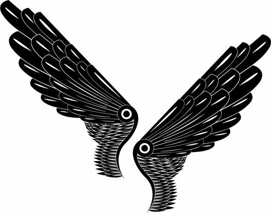 Picture of Handed Wing panel Stickers / Decals