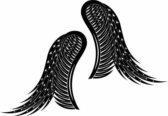 Picture of Handed Wing panel Stickers / Decals