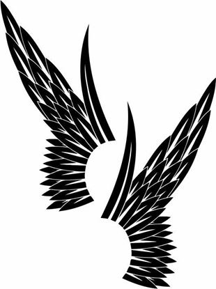 Picture of Handed Wing panel Stickers / Decals