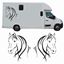 Picture of Horsebox side panel Decals / Stickers