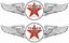 Picture of Texaco Decals / Stickers