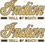 Picture of Indian Wall of Death  Decals / Stickers