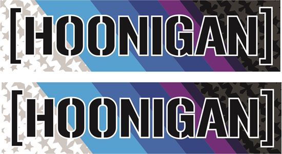 Picture of Hoonigan Decals / Stickers