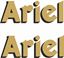 Picture of Ariel Decals / Stickers