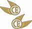 Picture of Coventry Eagle Decals / Stickers