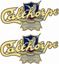 Picture of Calthorpe Motorcycle Decals / Stickers