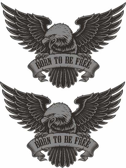 Picture of Born To Be Free general panel  Decals / Stickers