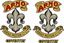 Picture of Arno Motorcycle Decals / Stickers