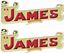 Picture of The James Motorcycle Decals / Stickers