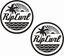 Picture of Rip Curl Decals / Stickers