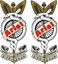 Picture of Ariel Motorcycle Decals / Stickers
