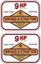 Picture of Briggs & Stratton 9HP Motorcycle Decals / Stickers