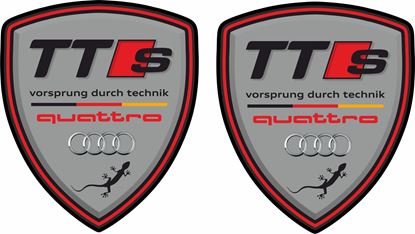 Picture of Audi TTS Quattro Decals / Stickers