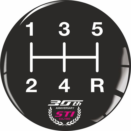 Picture of Gear Shift  Gel Badge
