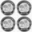 Picture of AMG Wheel centre Gel Badges