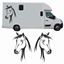 Picture of Horsebox side panel Decals / Stickers