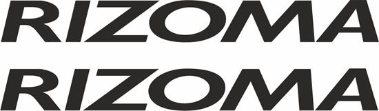 Picture of Rizoma Track and street race sponsor logo