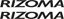 Picture of Rizoma Track and street race sponsor logo