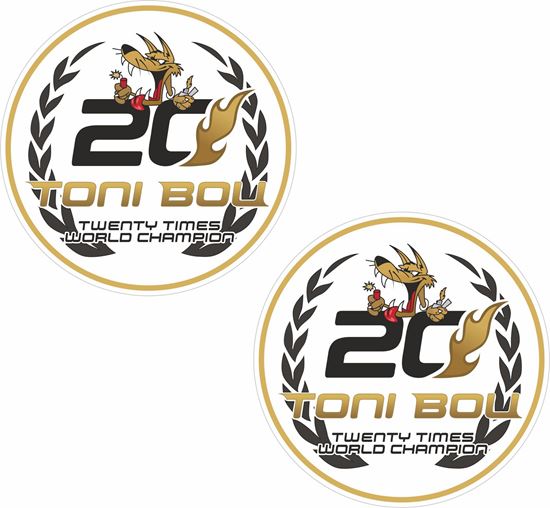 Picture of Toni Bou Decals / Stickers