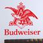 Picture of "Budweiser" Bar Wall Art sticker
