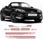 Picture of Miata MX-5 NC Kuro Special Edition Stripes / Stickers