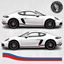 Picture of 718 Cayman / Boxster Martini side  Stripes