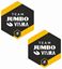 Picture of Team Jumbo Visma Decals / Stickers