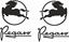 Picture of Pegaso Decals / Stickers