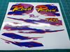 Picture of Yamaha TT250R Raid 2007 replacement Decals / Stickers