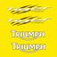 Picture of Triumph Tiger 1050 (Yellow Bike) 2007 - 13 replacement Decals / Stickers