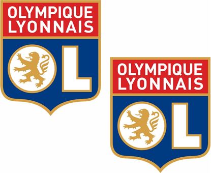 Picture of Olympique Lyonnais Decals / Stickers