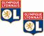 Picture of Olympique Lyonnais Decals / Stickers