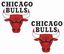 Picture of Chicago Bulls Decals / Stickers