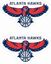 Picture of Atlanta Hawks Decals / Stickers