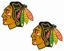 Picture of Chicago Blackhawks Decals / Sticker
