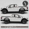 Picture of F-150 Side Stripes