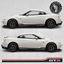 Picture of GTR side Stripes