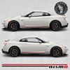 Picture of GTR side Stripes